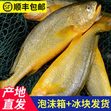 御泸鲜湘【顺丰发货】精选特大黄花鱼新鲜深海大黄鱼宁德黄花鱼1-2斤1条 4斤装【2条】特级超大