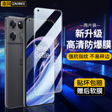 造贝（ZAOBEI）适用 一加Ace竞速版钢化膜高清透明保护膜全屏手机膜防刮强抗指纹 高清透明钢化前膜(2片装)+碳纤维后软膜