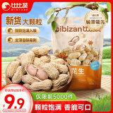 比比赞（BIBIZAN）龙岩花生五香味500g袋装 每日坚果炒货带壳干果办公室休闲零食品