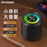 雷登X3蓝牙音箱40W大功率超重低音炮家用户外便携防水插卡音响小钢炮 x3黑色【官方标配】+32G音乐TF卡