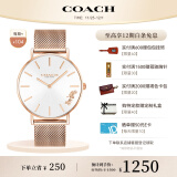 蔻驰（COACH）PERRY系列马车标识 日辉纹表盘钢链石英表14503126  礼物/送礼