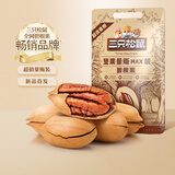 三只松鼠量贩袋装碧根果特大健康坚果零食奶油味长寿果特产小吃休闲食品 【量贩袋装】碧根果500g*1袋