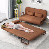 立太（LEADTEK） 沙发床现代两用折叠单人沙发双人多功能租房小户型简易布艺沙发 咖啡色190X120cm【两个抱枕】