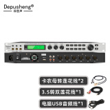 depusheng X5 专业ktv前级效果器 数字音频处理器舞台会议家庭卡拉ok混响器混音器防啸叫抑制家用效果器 专业KTV效果器