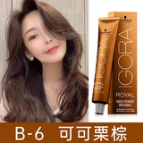 施华蔻（Schwarzkopf）伊采炫棕染发剂 温和配方染发膏男女通用流行棕色 B-6可可栗棕