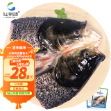 仙泉湖花鲢鱼头 600g*1个 冷冻双边大胖头鳙鱼 海鲜水产食材