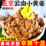 云南小黄姜现挖生沙姜月子姜2025新鲜蔬菜 3斤【净重2.8斤以上】