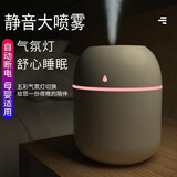 卓亚尼2025新款小型USB喷雾器家用卧室办公室桌面空气教室卧室雾化补水喷雾礼品便携喷雾器 水滴款【冰川白】220ml纳米喷雾