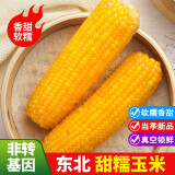 栗品优 玉米 东北玉米棒即食粘黏玉米黑玉米粗粮代餐蔬菜 【店长推荐】糯玉米8支