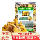 滇味十足（DIANWEISHIZU） 云南鸡油菌南北干货煲汤食材黄丝菌食用野生菌榆黄菇火锅食材 【精美罐装】50克/罐