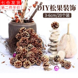 荣花施 松果装饰手工diy材料包幼儿园儿童环创干花干果圣诞挂件场景布置 松果20个装【约3-6cm】