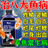 YEE锦鲤亚甲基蓝烂尾烂身烂鳍白点水霉病观赏金鱼缸消毒杀菌专治药液 买二 送一【治鱼病养鱼常备】