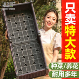 水生田种菜神器家庭阳台长方形塑料特大家用蔬菜专用种植箱花盆楼顶花箱 【种菜就选特大款】 【特大1联50*40*22cm】