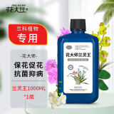 花大师兰灵王兰花专用营养液肥料多箭素兰陵王兰花肥料兰菌王催芽促花肥 兰灵王1000ml 大瓶