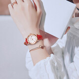 宝茄达（BRIGADA）女表机械 女士机械表 高级感小表盘 防水夜光七夕礼物送女友 红带-进口机械