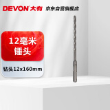 大有（Devon）电锤钻头圆柄两坑两槽穿墙水泥混凝土建工钻头   12mm