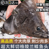 渔吻格陵兰鲽鱼头深海特大蝶鱼头新鲜冷冻鸦片鱼头商用雅片鱼头海鱼 【7两/个】 碟鱼头 350g *2个