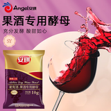 安琪（Angel）葡萄酒酵母专用水果酒曲白葡萄酒白兰地红白酒家用自制酵母菌小包 果酒酵母SY款10g*1袋