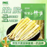 鲜窝窝 小竹笋500g 火锅食材新鲜春笋尖野山笋脆嫩笋清水竹笋 凉拌炒菜
