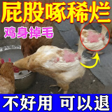 石佳鸡啄蛋啄毛啄肛啄羽禽用营养止啄止咬灵鸡鸭互啄毛剂防啄羽啄肛灵 啄毛啄肛啄羽专用【1袋】