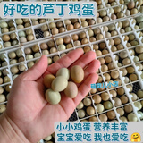 鲜蛋正宗【芦丁鸡食用蛋】宝宝老人孕妇儿童都爱吃营养丰富迷你鸡蛋 芦丁鸡食用蛋34枚【2备损】
