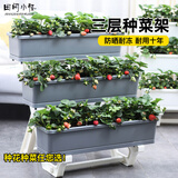 田间小径阳台种菜盆多层立体种菜花架子家庭蔬菜种植专用箱长方形花盆顶楼 三层种菜架 灰色（送随机种子）