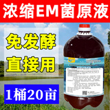 鑫恒骏 EM菌原液水产养殖调水净水鱼虾蟹青蛙养殖免发酵EM菌 1桶【10斤】用20亩