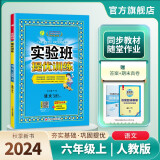 2024秋 实验班提优训练 六年级上册 语文人教版 强化拔高同步练习册