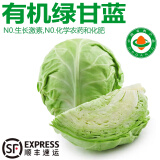 诸氏橙品【有机】绿甘蓝 新鲜蔬菜包菜卷心菜圆白菜 凉拌沙拉食材有机蔬菜 （3份*500g/份）凉拌伴侣