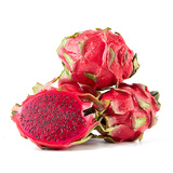【产地直采】国产红心火龙果3粒约1.1kg
