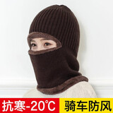 HAWEIWIND冬季保暖头套男女防风帽防寒面罩冬天骑行围脖护脸罩骑电动车装备 咖啡色【加绒加厚 保暖防风】