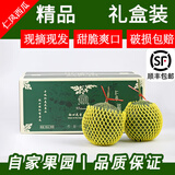 骄瑰济阳仁风富硒西瓜新鲜黄心壤/珍珠红礼盒装皮薄甜脆多汁顺丰到家 15斤4-6个瓜（仁风黄瓤西瓜）