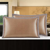 SHIFTEND枕套夏天家用双面凉席冰藤枕头套成人藤面绣花枕芯套学生凉竹枕套 【1对】金色斜纹冰藤枕套 （48X74）双面可用