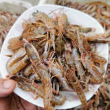 净4斤新鲜花腰嘎巴虾狗虾夹板虾花豹虾 四斤夹板虾 1g(净重)