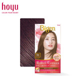 Bigen美源（Bigen）染发剂丝质植物遮盖白发染发剂焗油膏染发霜染发膏 5N号自然棕色