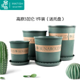 墨斗鱼 加仑花盆3加仑家用种植箱多肉花卉绿萝绿植圆形花盆托盘种菜盆箱