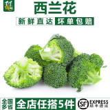 千牛优福西兰花500g 小颗西兰花朵新鲜脆嫩青花菜绿花菜西蓝花椰菜 农家菜