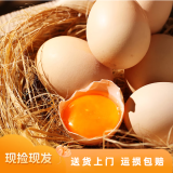 鹤农益得笨土鸡蛋生鲜不含沙门氏菌新鲜农家散养孕妇喜蛋精品礼盒 10枚 450g +土鸡蛋