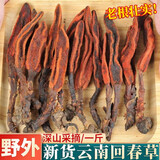 【云南纯野外核心产区】云南回春草500g 泡茶肉苁蓉锁阳泡酒料顶天柱不老草泡酒药材男性滋补仿野生雄在 精选回春草1斤