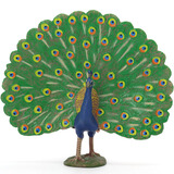 玛奇乐（MECHILE）仿真飞禽鸟类动物模型玩具金刚鹦鹉火烈鸟鸵鸟幼儿园动物认知教具 孔雀