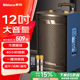 新科 （Shinco）广场舞音响户外大音量拉杆蓝牙音箱三喇叭重低音木质箱体家用K歌移动摆摊 12吋双咪