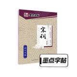 墨点字帖楷书字帖成人练字大学生速成古诗词练字帖初学者手写体钢笔荆霄鹏硬笔书法临摹正楷字帖 经典文化宋词三百首
