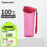 特百惠（Tupperware）茶韵500ML塑料杯 男女学生便携办公用水杯子大容量双饮口 美唇红