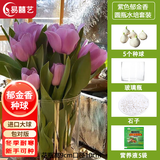 易囍艺 郁金香种球水培盆栽花卉土培室内花绿植盆栽水养植物花卉进口大 紫色郁金香5球+玻璃瓶+石子+营养液