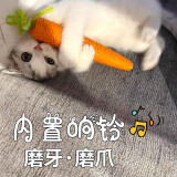 派乐特猫玩具可爱胡萝卜自嗨解闷耐咬磨牙磨爪带铃铛逗猫棒幼猫猫咪用品