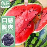 寿禾 西瓜种子苗麒麟8424薄皮大瓜超甜水果种籽 潍丰松脆8424种子40粒