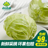 小汤山 圆白菜 约500g 新鲜蔬菜基地种植当天采摘