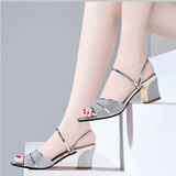 萱俪妮（XUANLINI）两穿凉鞋女士夏季2025新款百搭中跟粗跟凉拖鞋室外穿时尚一字防滑 银色-款一 36