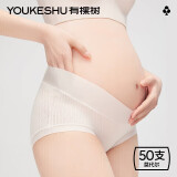 有棵树（YOUKESHU）50支莫代尔女士内裤女低腰纯棉抑菌大码内女裤秋冬短裤