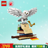 乐高（LEGO）积木76391霍格沃茨经典藏品 哈利波特猫头鹰D2C限定款 生日礼物